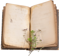 Unschool Home School photo day smaller stack of books